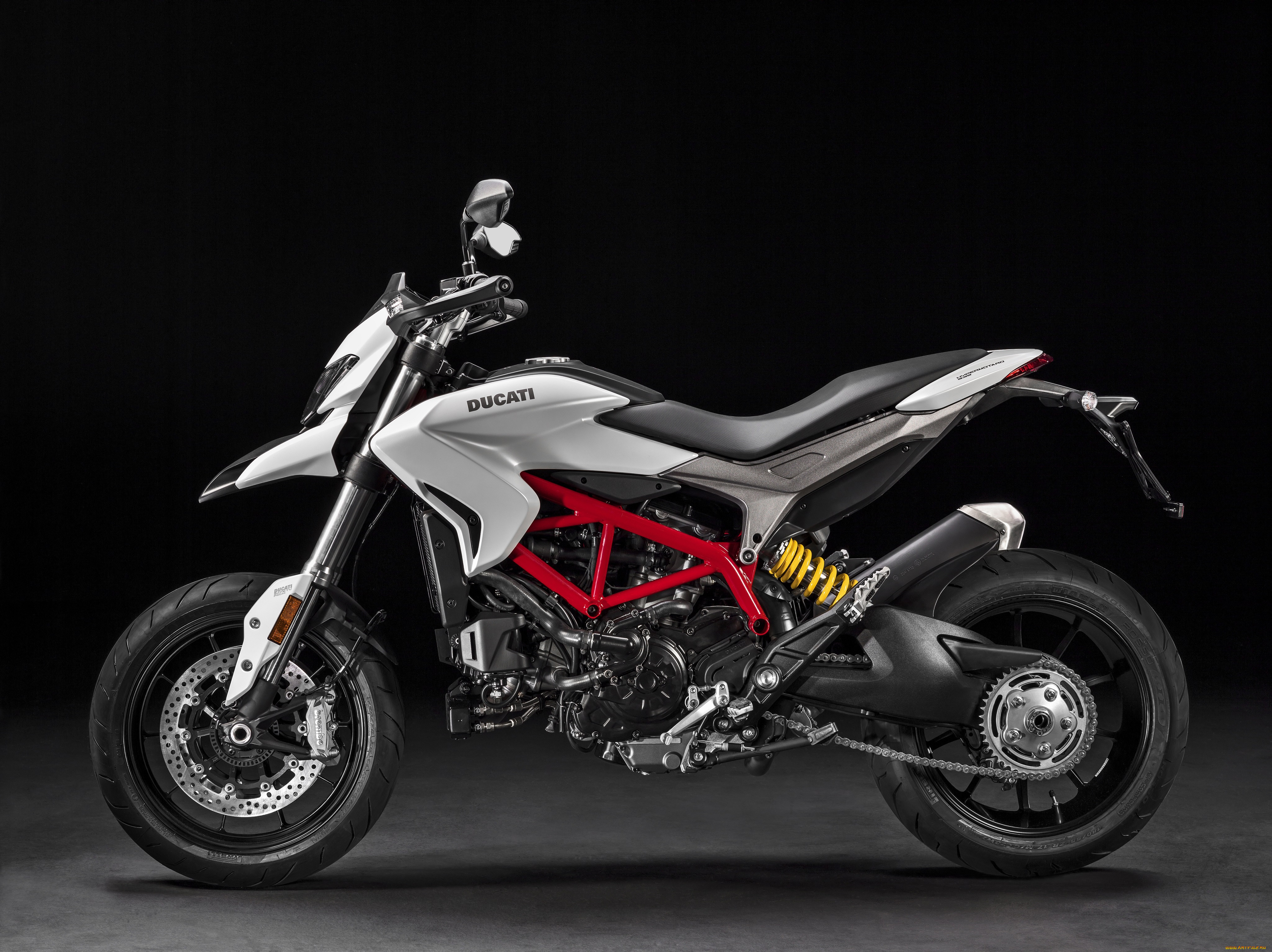 , ducati